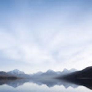 Meet your Posher, Jackson